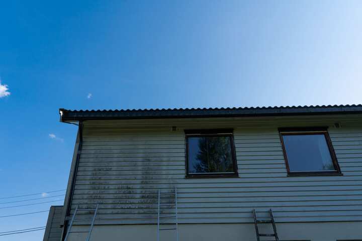 exterior mold removal services Boulder